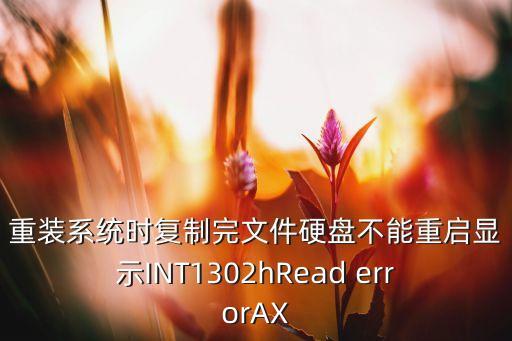 重装系统时复制完文件硬盘不能重启显示int1302hread errorax