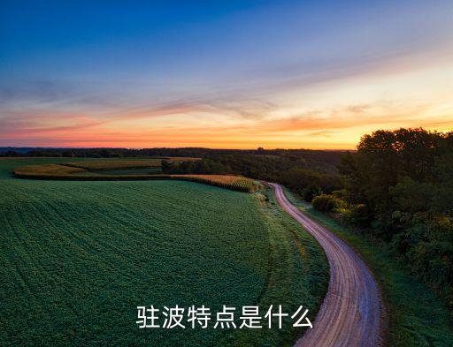 什么是驻波，驻波特点是什么
