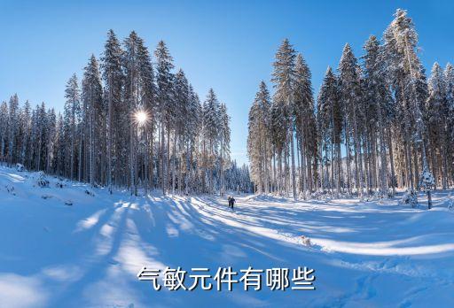 气敏元件有哪些
