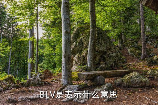 blv，物理中blv是什么