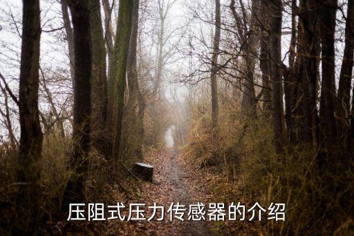 压阻压力传感器，压阻式压力传感器的介绍