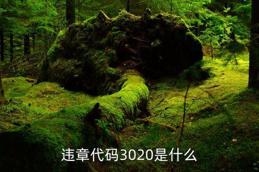 违章代码3020是什么