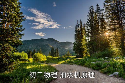初二物理 抽水机原理
