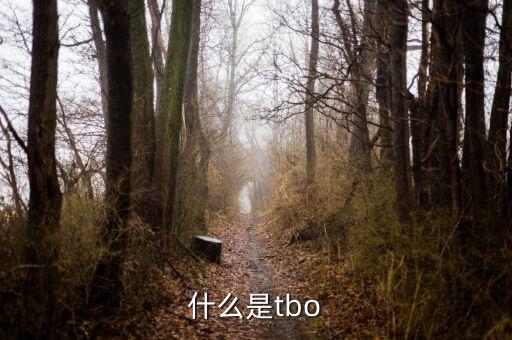 什么是tbo