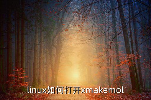linux如何打开xmakemol