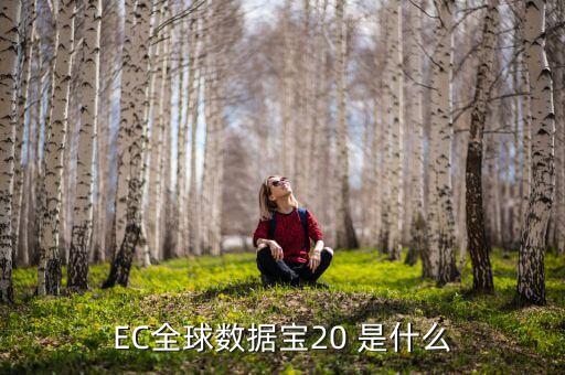 ec全球数据宝20 是什么
