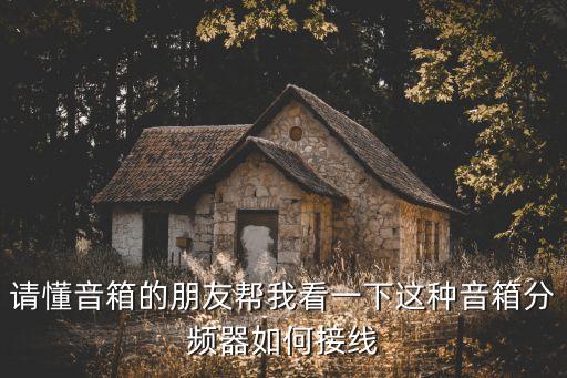 分频器接线图，请懂音箱的朋友帮我看一下这种音箱分频器如何接线