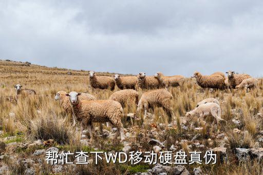 wd硬盘中国pg电子游戏试玩平台网站官网，这种移动硬盘在哪可买到