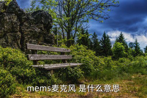 mems麦克风，memsmic是做什么的