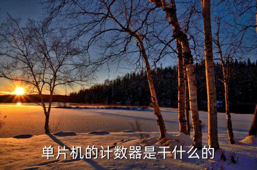 单片机的计数器是干什么的