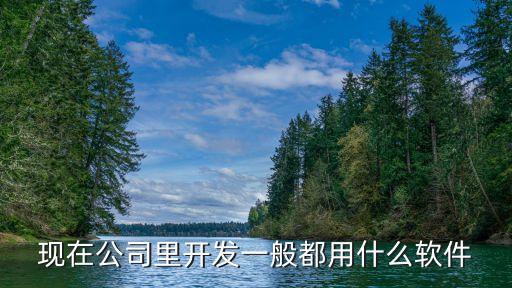 现在公司里开发一般都用什么软件