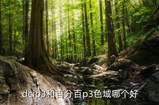  dcip3和百分百p3色域哪个好