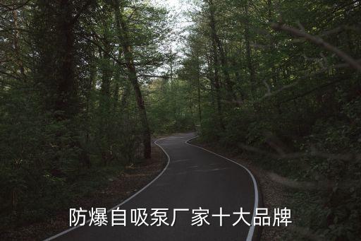 防爆自吸泵厂家十大品牌