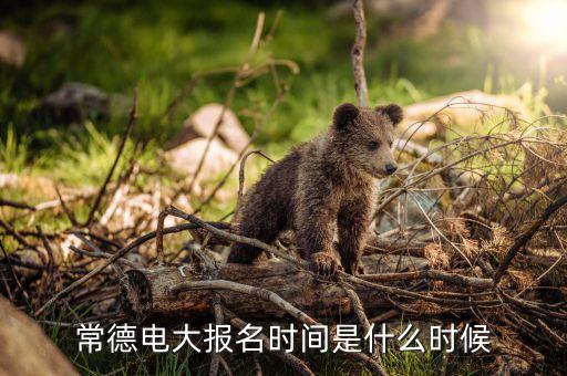 常德电大报名时间是什么时候