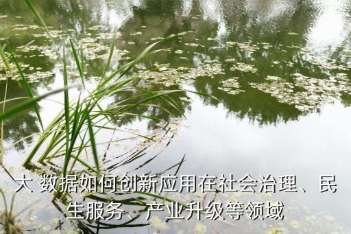 大 数据如何创新应用在社会治理、民生服务、产业升级等领域