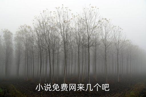 小说免费网来几个吧