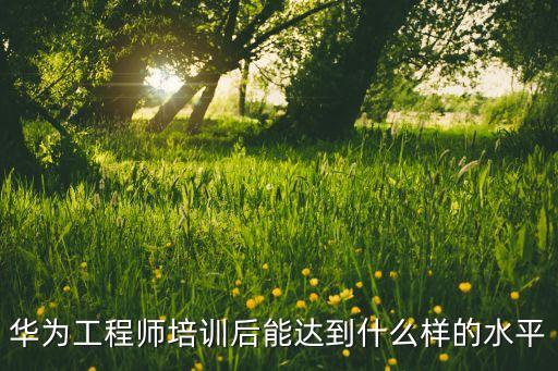 华为工程师培训后能达到什么样的水平