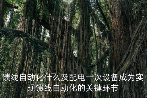 馈线自动化什么及配电一次设备成为实现馈线自动化的关键环节
