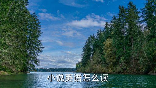 小说英语怎么读