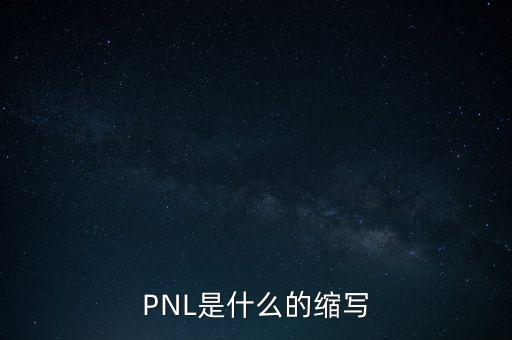 pnl是什么的缩写