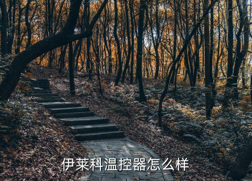 伊莱科温控器怎么样