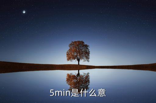 5min是什么意思，5min是什么意思