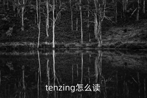 tenzing，tenzing jigtal 这个藏族名字含义是什么中文怎么写