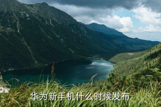 华为新手机什么时候发布