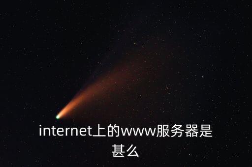 www服务器，internet上的www服务器是甚么