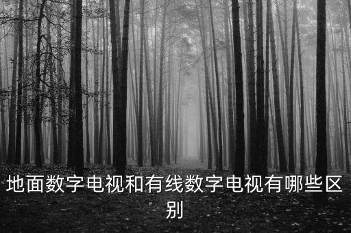 地面数字电视，地面数字电视和有线数字电视有哪些区别