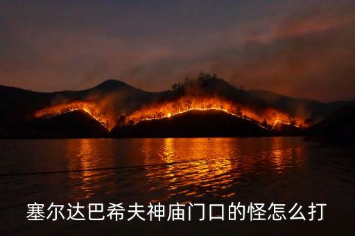 塞尔达巴希夫神庙门口的怪怎么打