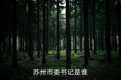 苏卅市委书记是谁