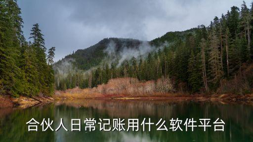 合伙人日常记账用什么软件平台