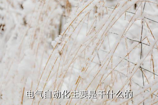 电气自动化主要是干什么的