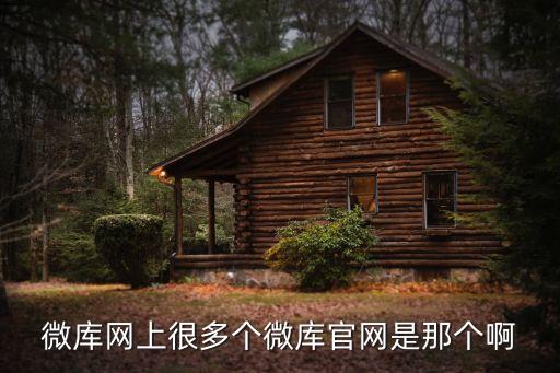 微库网上很多个微库pg电子游戏试玩平台网站官网是那个啊