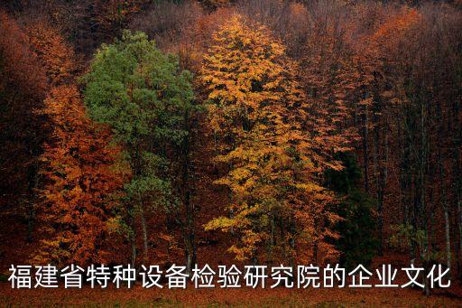 福建省特种设备检验研究院的pg电子游戏试玩平台网站的文化