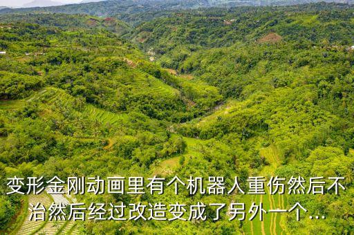 变形金刚动画里有个机器人重伤然后不治然后经过改造变成了另外一个...