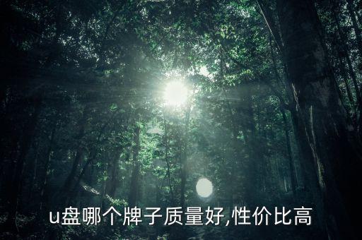 闪迪u盘怎么样,十大耐用u盘排名