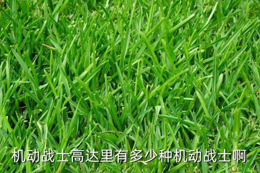 机动战士高达里有多少种机动战士啊