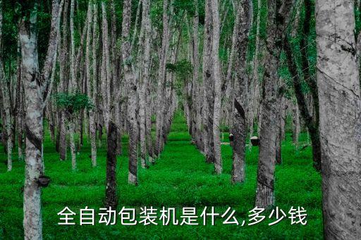  全自动包装机是什么,多少钱