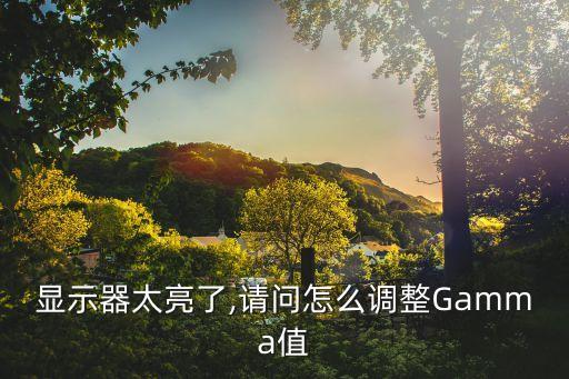 显示器太亮了,请问怎么调整gamma值