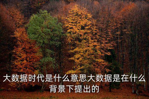大数据时代是什么意思大数据是在什么背景下提出的
