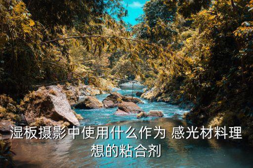 感光材料,照相用胶片和感光材料哪个更好看?
