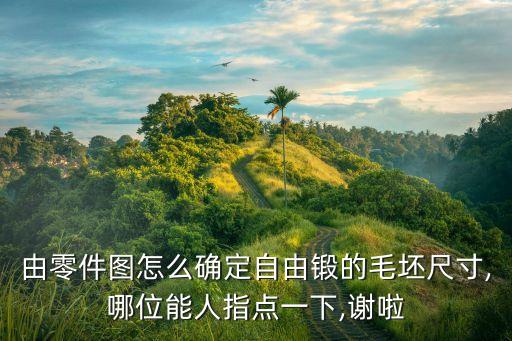 由零件图怎么确定自由锻的毛坯尺寸,哪位能人指点一下,谢啦