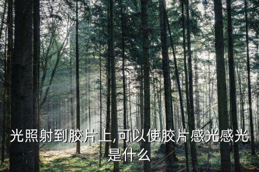 光照射到胶片上,可以使胶片感光感光是什么