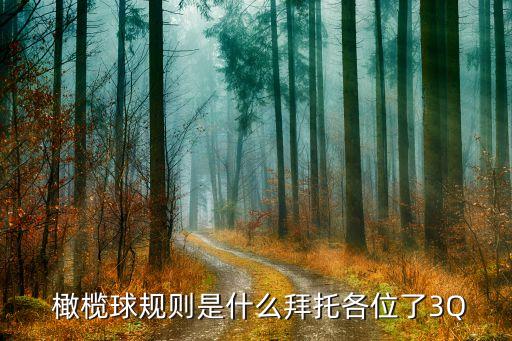 职业橄榄球