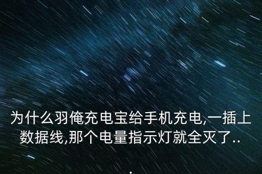 羽博充电器自动断电,充电器自动断电好不好