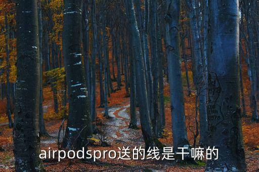 闪电转usb是数据线吗,usb-c转闪电连接线是什么?