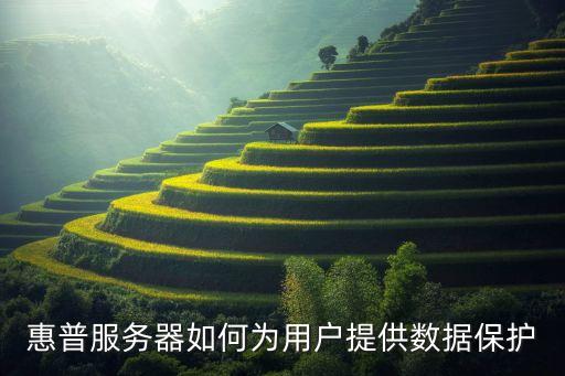 惠普服务器如何为用户提供数据保护