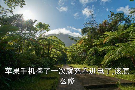 苹果手机摔了一次就充不进电了,该怎么修